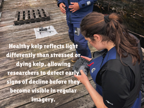 The Around the Americas expedition is conducting a pole-to-pole kelp study focused on g…