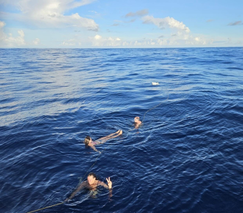 Swimming in the Pacific 🌊 Yesterday, flat calm seas permitted a moment for us to stop t…