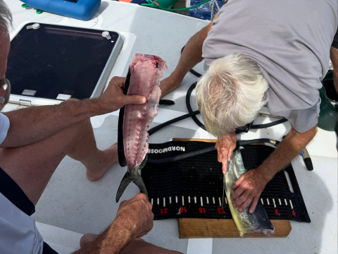 After 28 days and over 3900 nautical miles, the Around the Americas crew made it to Hil…