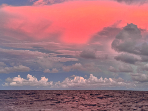 After 28 days and over 3900 nautical miles, the Around the Americas crew made it to Hil…