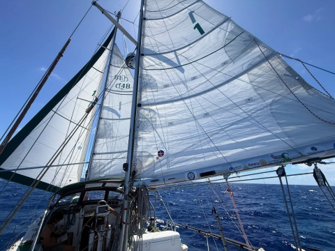 After 28 days and over 3900 nautical miles, the Around the Americas crew made it to Hil…