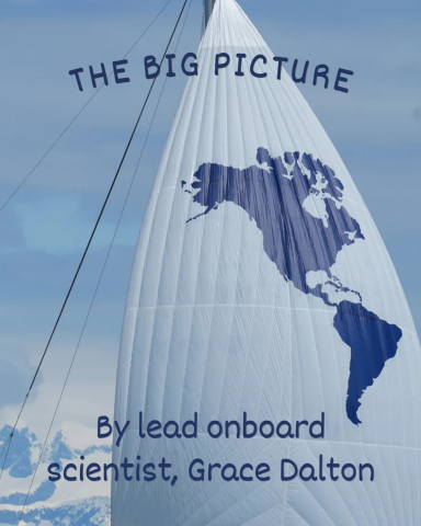 Our lead onboard scientist, Grace Dalton, just posted a MUST READ blog, presenting a po…