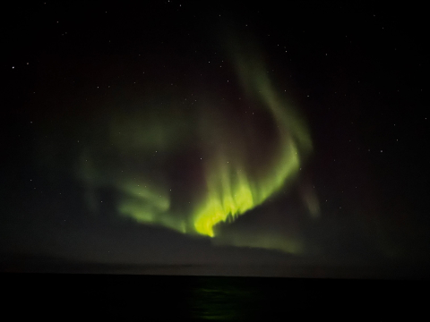 Sailing down the Davis Strait one year ago today, the One Ocean crew found ourselves in…