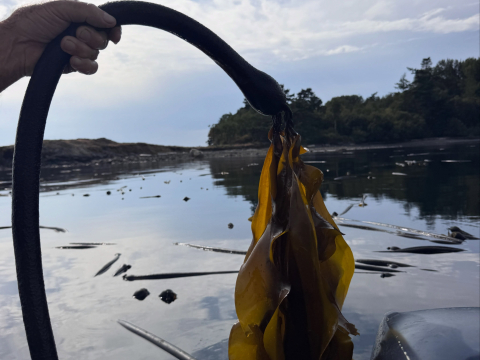 Last weekend, the Around the Americas crew took back to the waters here in the PNW and…