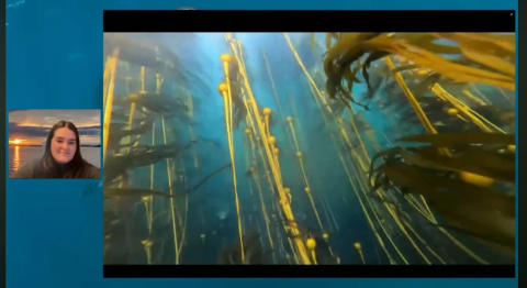 Watch our classroom on Bull and Giant kelp with Marine Biologist, Grace Dalton.