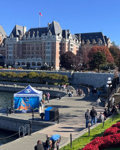 Thank you Victoria!