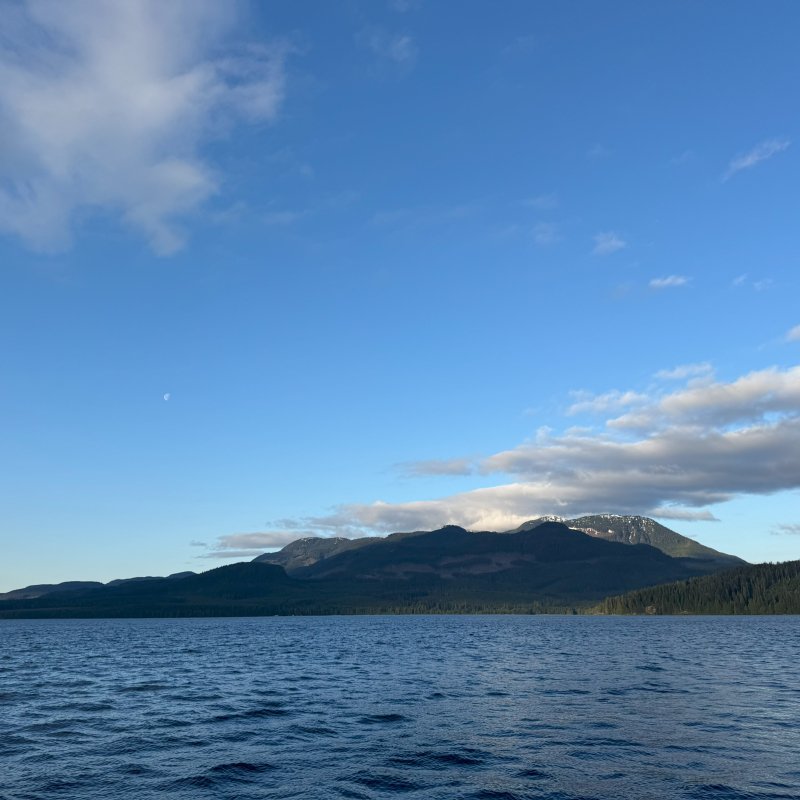 Johnstone Strait at 6 AM