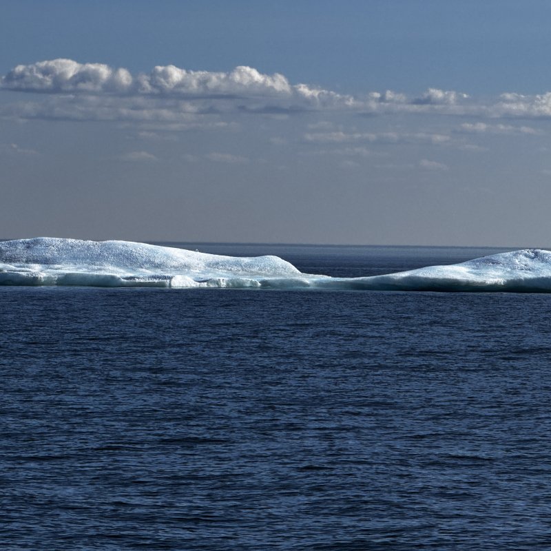 ice
