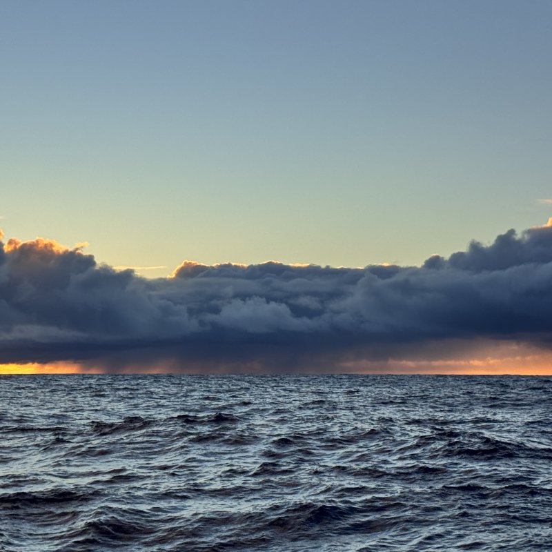 The pacific