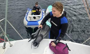 Diving 1