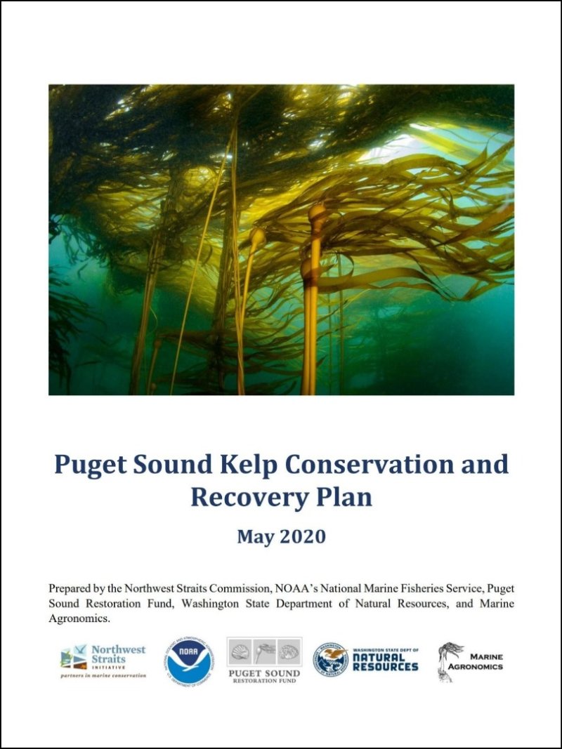 Puget Sound Kelp Conservation and Recovery Plan