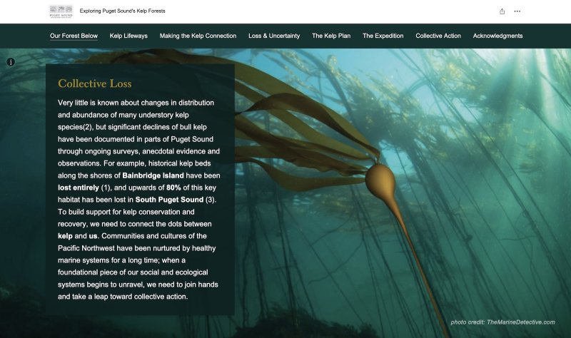Exploring Puget Sound's Kelp Forests