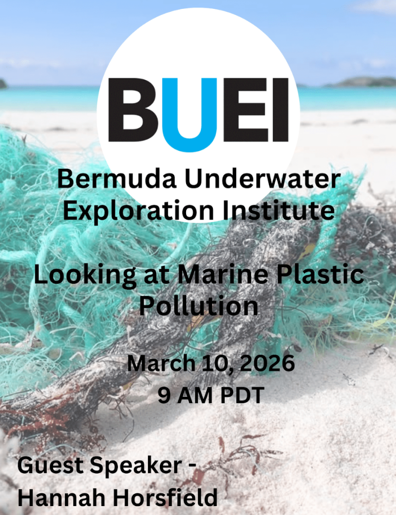 Live Event - Looking at Marine Plastic Pollution