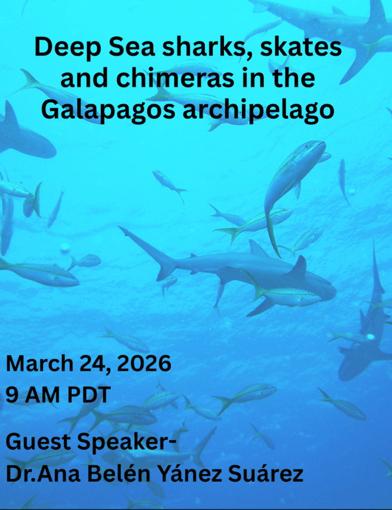 Live Event - Deep-sea Sharks, Skates and Chimeras in the Galapagos